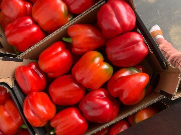 Pimiento rojo
