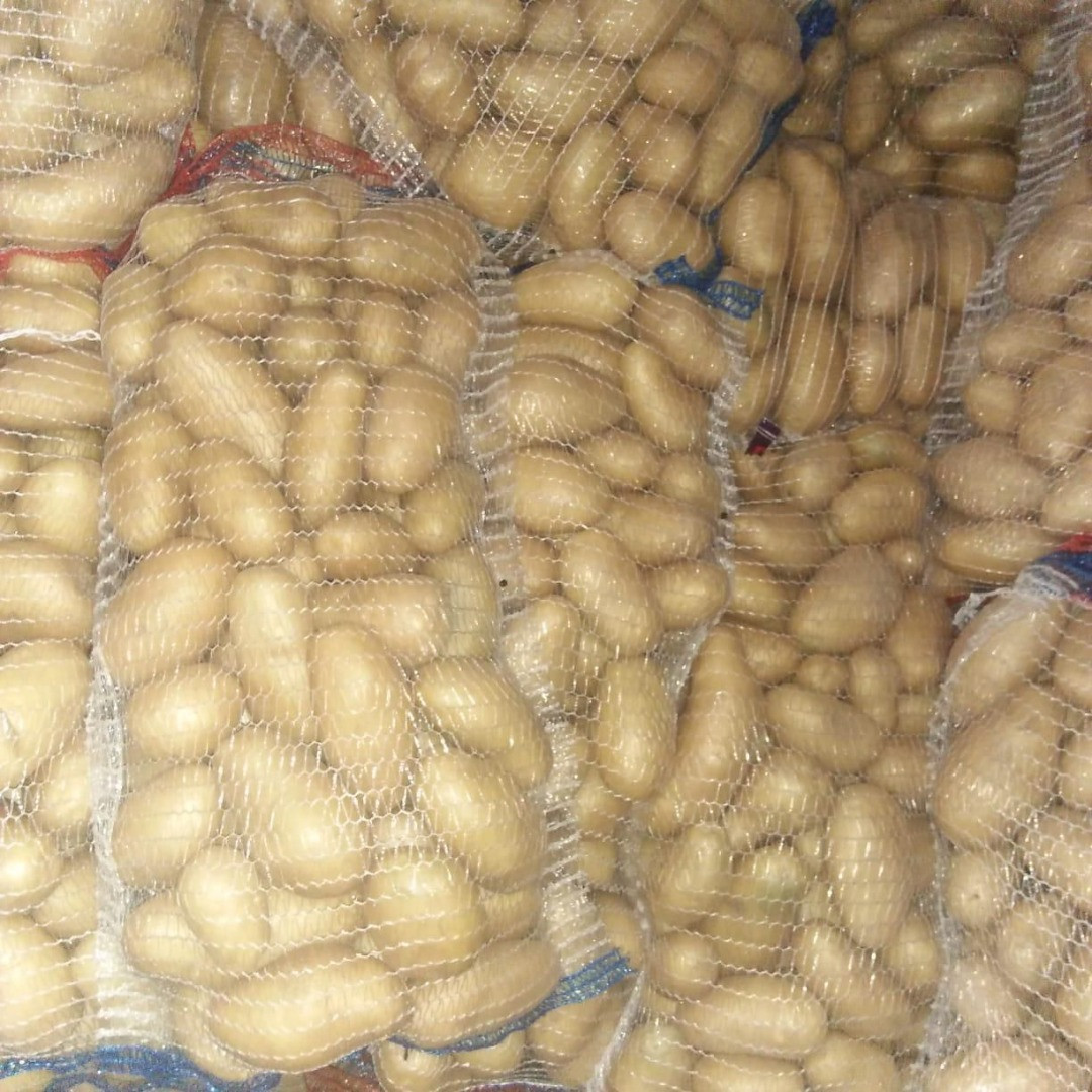 Patatas | Image 1