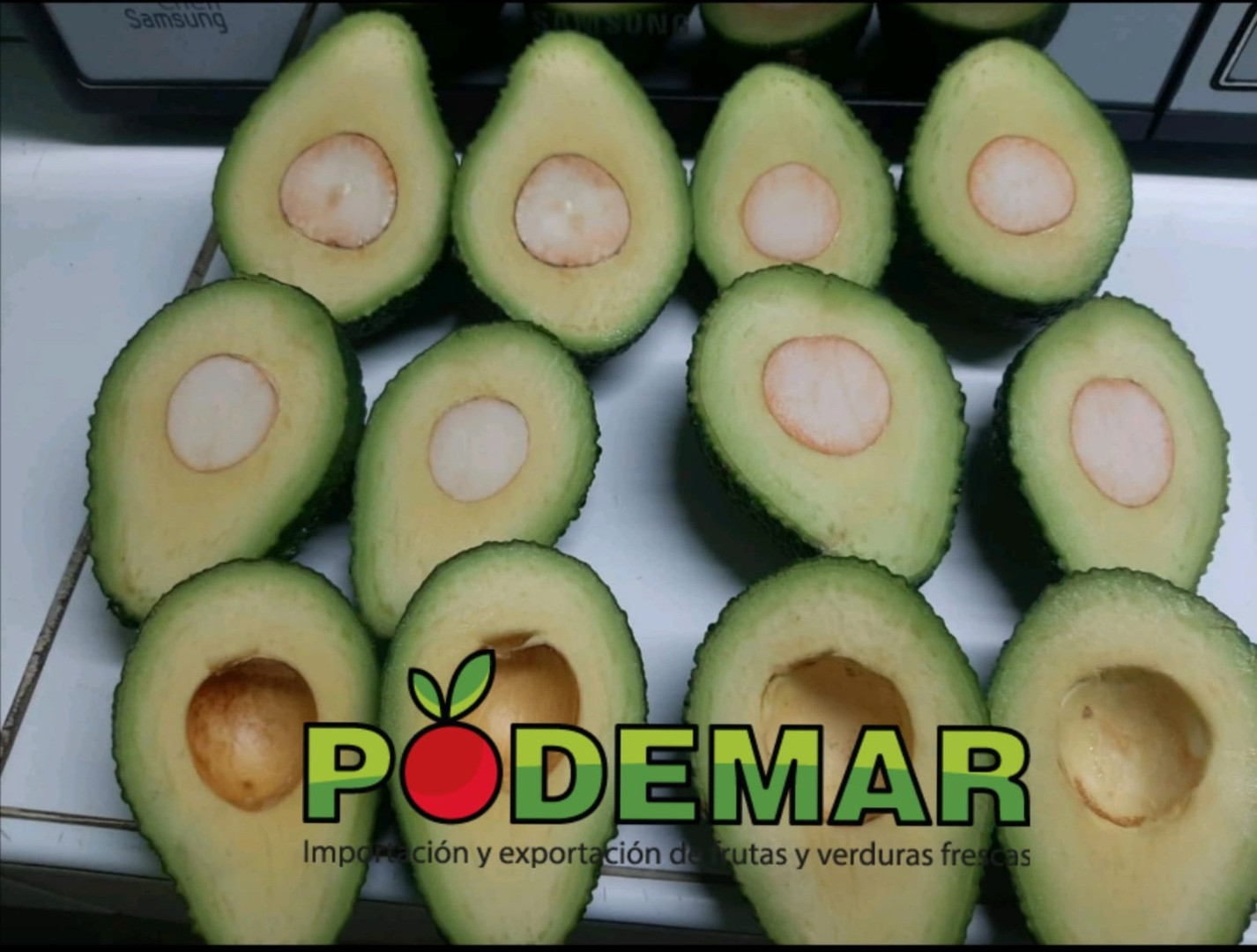Aguacate | Image 3
