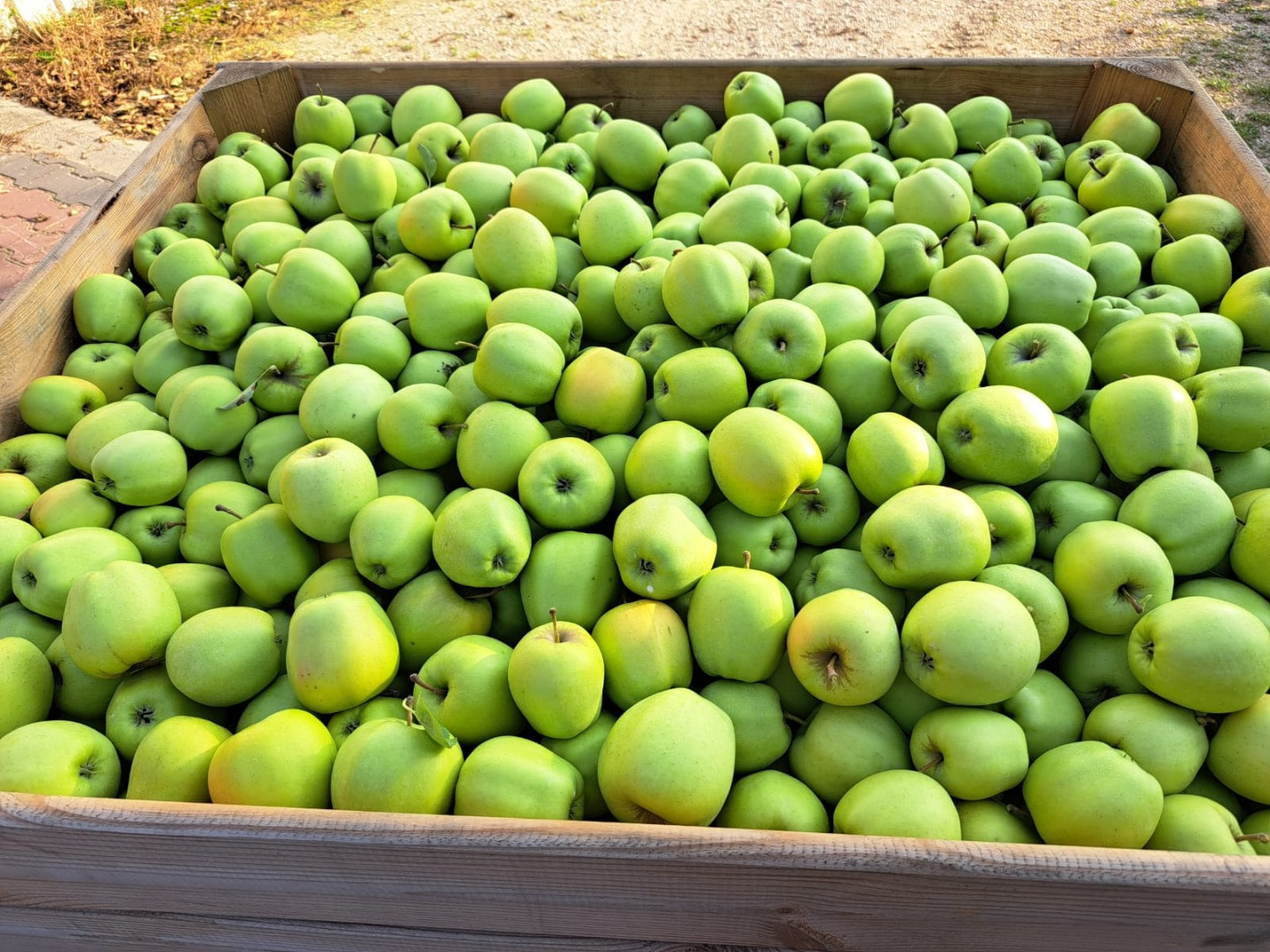 Manzanas | Image 1