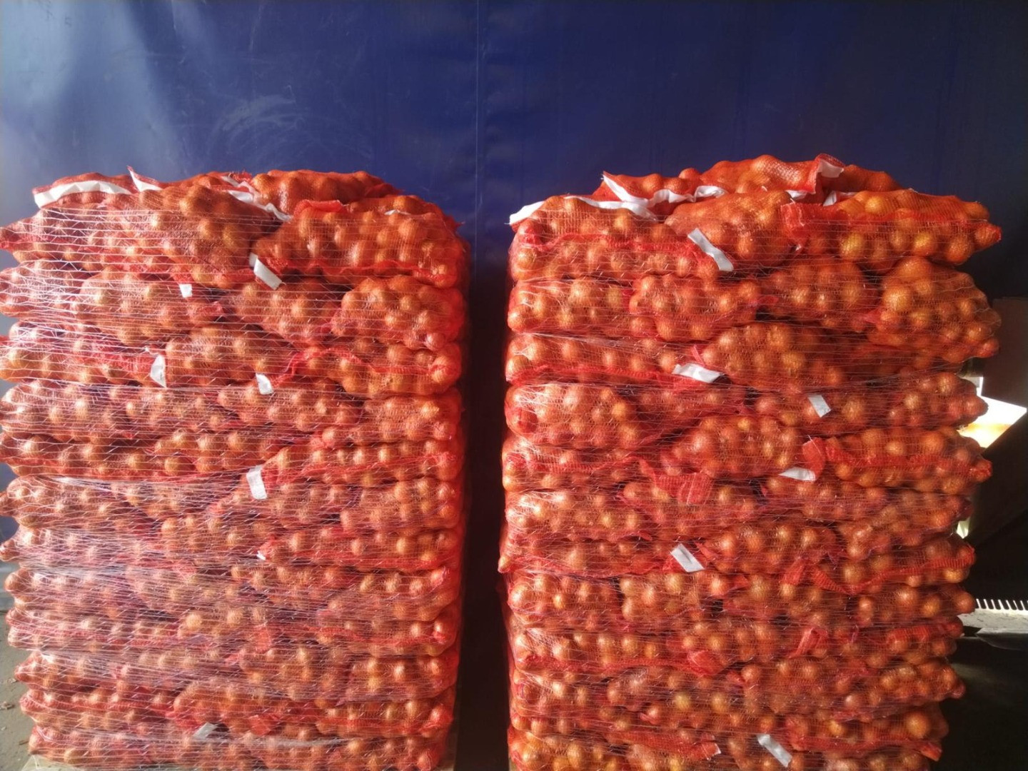 Cebollas | Image 1