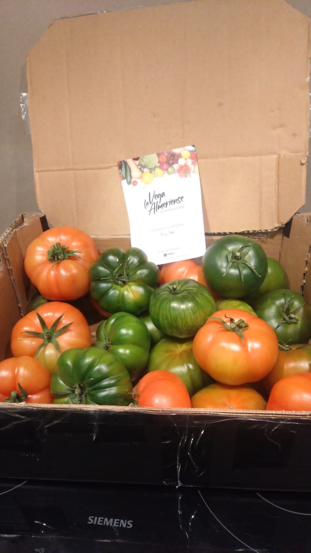 Tomates | Image 1