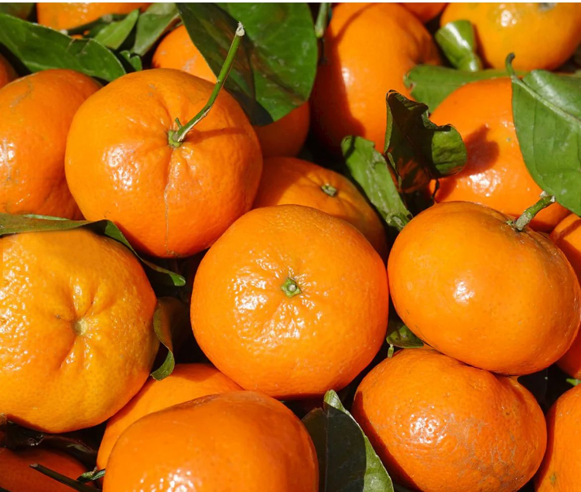 Mandarina Orri | Image 1