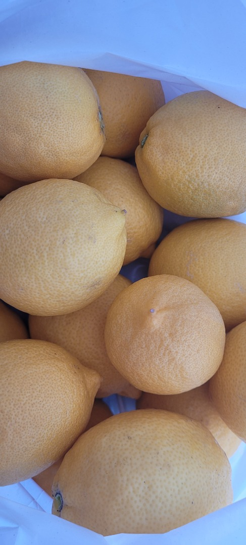 Limones | Image 1
