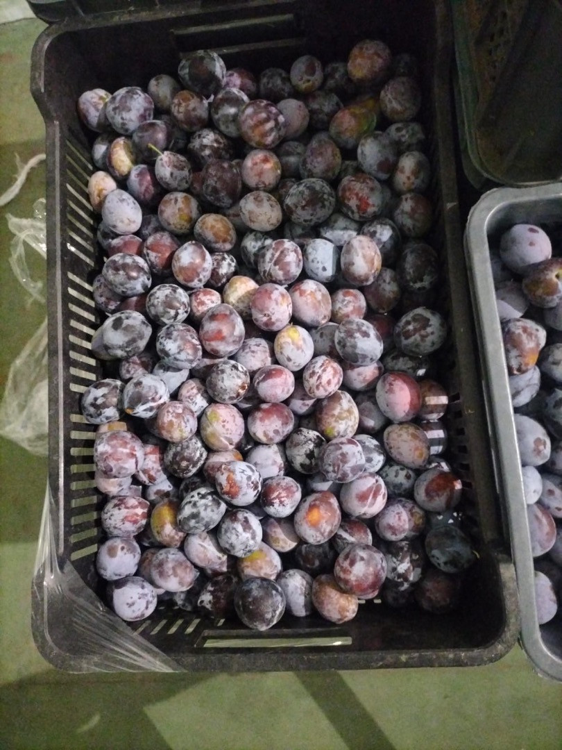 Ciruelas | Image 1