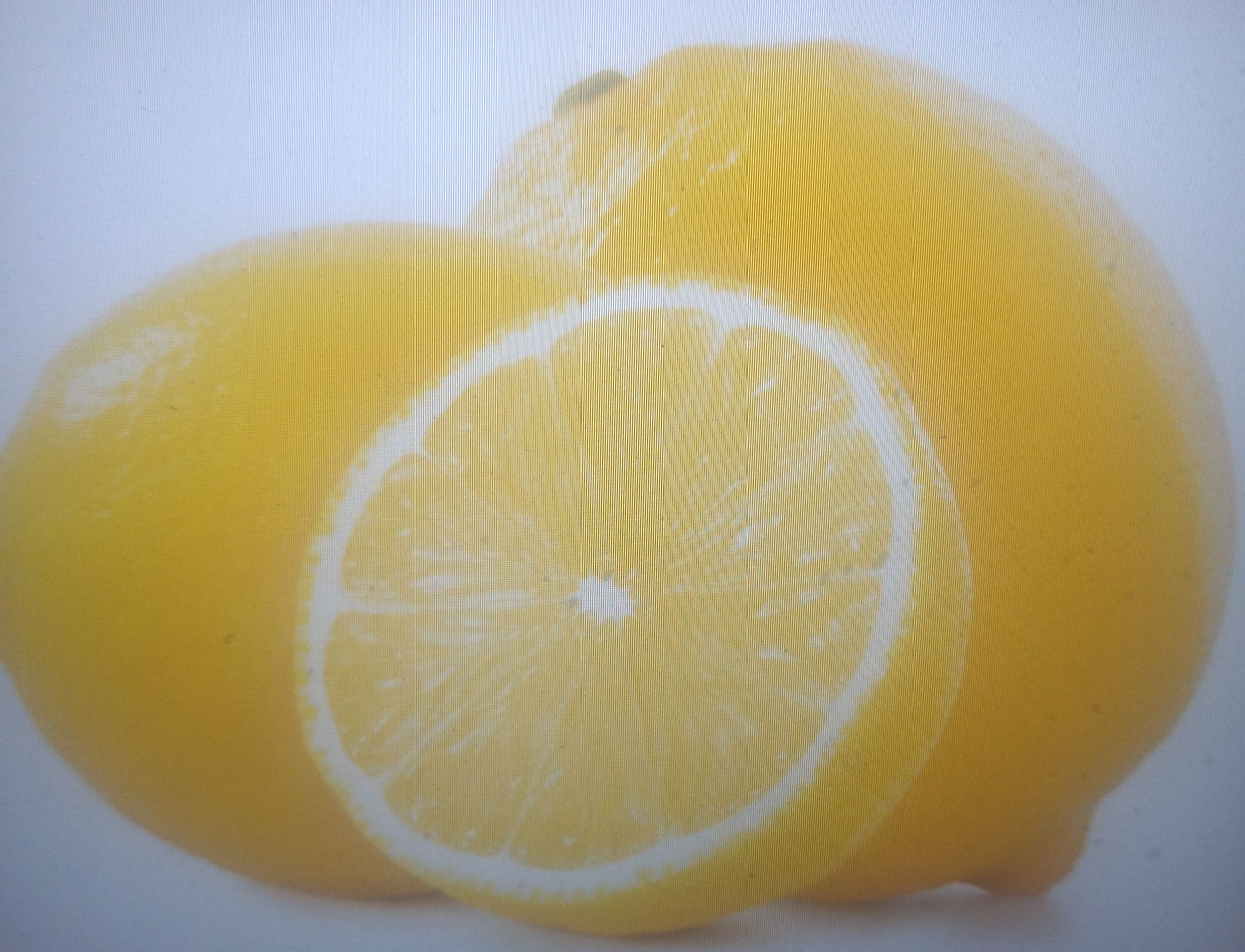 lemon | Image 1