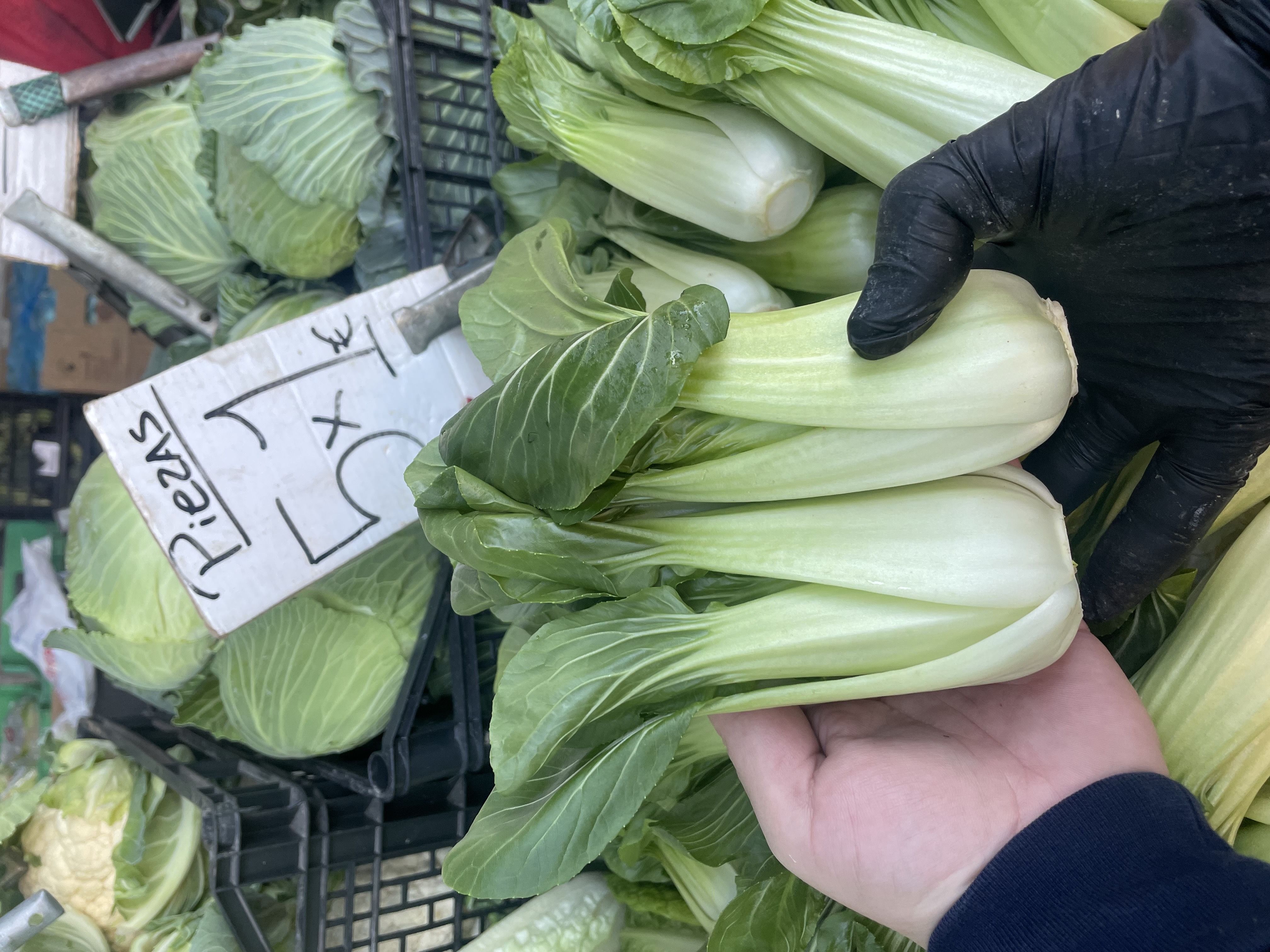 Pak choi  | Image 1
